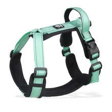 Pet Harness With Leash Vest For Dogs