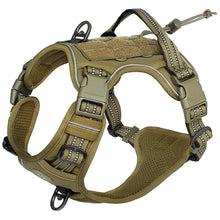 Empower your dog's inner explorer and reclaim your daily walks with a tactical, no-pull sanctuary built for ultimate safety and seamless control.