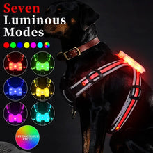 LED Hundeweste – Leuchtende Sicherheitsweste für Hunde bei Nacht
