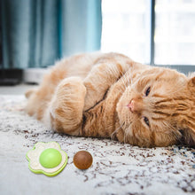 Cat Cleaning Toy with Cover Catnip Balls Toy Multifunctional Pet Health Supplies