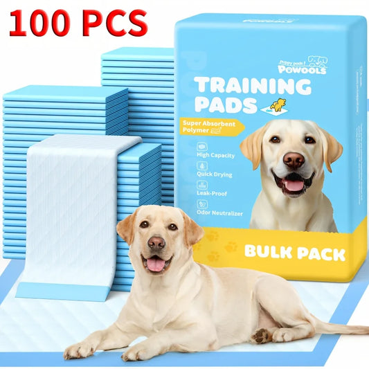 X-Large Blue Dog Pee Pads.