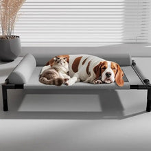Elevated Mesh Dog Bed with Pillow – Breathable Raised Indoor & Outdoor Pet Bed