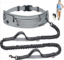 Hüftleine für Hunde mit Bauchtasche – Reflektierend & Freihändig