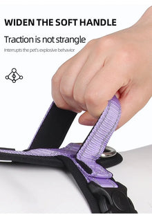 Pet Harness With Leash Vest For Dogs