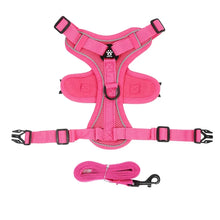No Pull Reflective Dog Harness and Leash Set for Small Dogs and Cats