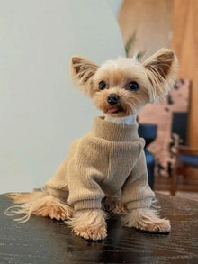 Solid Color Dog Sweater - Warm Pullover Clothes for Small Medium Dogs & Cats