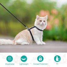 Adjustable Cat Harness - Escape Proof Safety Vest - Leash Set - For Cats & Puppies