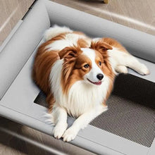 Elevated Mesh Dog Bed with Pillow – Breathable Raised Indoor & Outdoor Pet Bed
