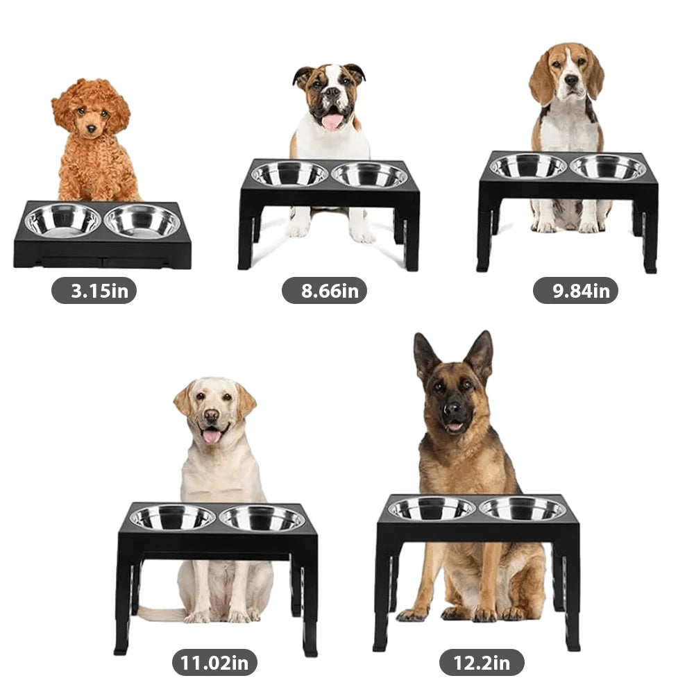 A Pet Feeding Station Featuring Two Stainless Steel Bowls, Designed with an Adjustable Height That Offers Five Different Levels