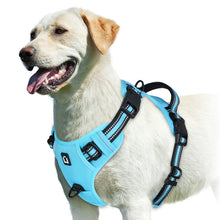 Empower your dog's inner explorer and reclaim your daily walks with a tactical, no-pull sanctuary built for ultimate safety and seamless control.