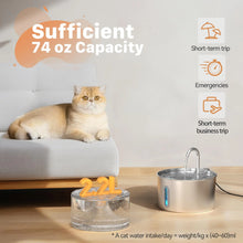 Cat Water Fountain 2.2L Stainless Steel — Artesian Flow, Ultra-Quiet Pump & Filter