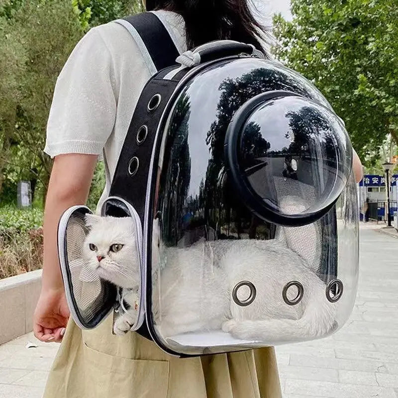 Cat Carrier Transparent