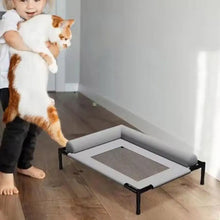 Elevated Mesh Dog Bed with Pillow – Breathable Raised Indoor & Outdoor Pet Bed