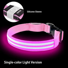 LED Hundehalsband wiederaufladbar – Leuchthalsband für Hunde mit USB und hoher Sichtbarkeit