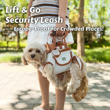 Air-Lift Dog Carry Harness - Escape Proof Pet Backpack - Breathable No-Pull Leash - Small Dogs