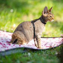 Adjustable Cat Harness - Escape Proof Safety Vest - Leash Set - For Cats & Puppies
