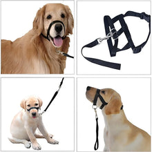 Dog Muzzle Collar - Adjustable Training Halter - Anti-Bite Pet Leash - Dog Safety Accessory