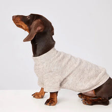 Dachshund Sweater - Soft Warm Undershirt Winter Clothing for Small Dogs & Cats
