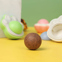 Cat Cleaning Toy with Cover Catnip Balls Toy Multifunctional Pet Health Supplies