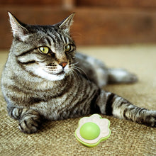 Cat Cleaning Toy with Cover Catnip Balls Toy Multifunctional Pet Health Supplies