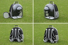 Cat Carrier Transparent