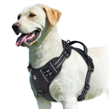 Empower your dog's inner explorer and reclaim your daily walks with a tactical, no-pull sanctuary built for ultimate safety and seamless control.