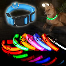 LED Light Dog Collar - USB Rechargeable Flashing Pet Safety Harness - Adjustable Small Large Dogs