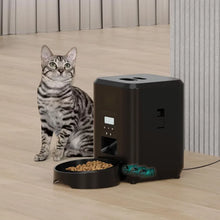 Automatic Cat & Dog Feeder with Timed Portion Control