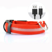 LED Light Dog Collar - USB Rechargeable Flashing Pet Safety Harness - Adjustable Small Large Dogs