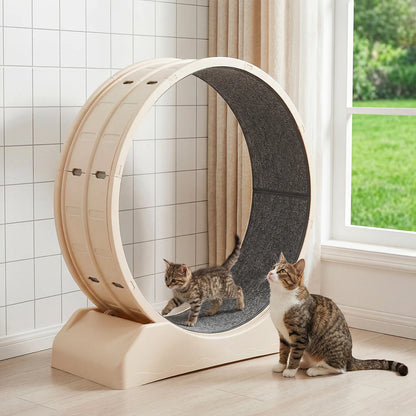 Cat Running Exercise Wheel Treadmill, Ultra-Quiet Safety Cat Training Toy, Removable Carpeted Runway for Running & Scratching 85.5*80*33.5cm