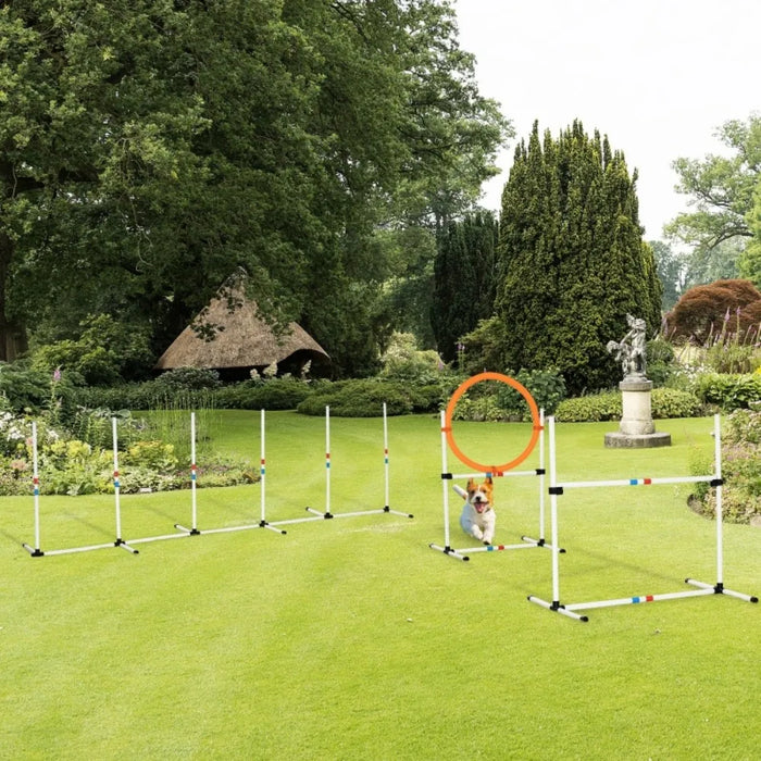 Dog Agility Training Set – 3-Piece Adjustable Obedience Course with Jump Hoop, Hurdle & Pole
