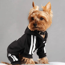 Classic Dog Hoodie - Four Leg Design Sweater Apparel for Small Medium Breed Dogs