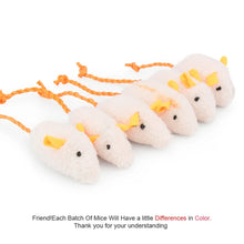 Natural Plush Catnip Mice: Because your daily devotion is measured in the safe, joyous, and mindful moments you create for them.