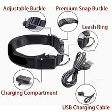 LED Light Dog Collar - USB Rechargeable Flashing Pet Safety Harness - Adjustable Small Large Dogs