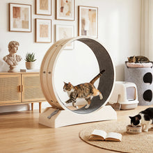 Katzenlaufrad mit Teppich – Leise & Sicher für Training und Krallenpflege