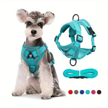 No Pull Reflective Dog Harness and Leash Set for Small Dogs and Cats
