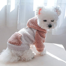 Fashion Cat Dog Hoodie - Winter Buckle Sweater Hooded Clothes for Small Dogs Puppies