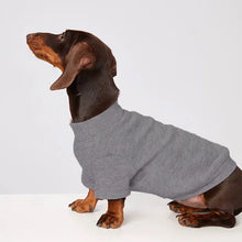 Dachshund Sweater - Soft Warm Undershirt Winter Clothing for Small Dogs & Cats