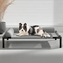 Elevated Mesh Dog Bed with Pillow – Breathable Raised Indoor & Outdoor Pet Bed