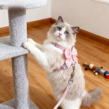Adjustable Pet Harness & Leash - Traction Rope Set - For Cats Kittens Puppies Rabbits Ferrets