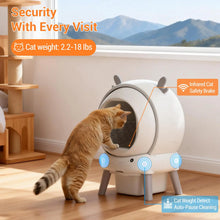 Self-cleaning XXL 65L Cat Litter Box – Automatic Litter Box with App Control (2.4GHz), 9 Safety Sensors, Anti-pinch Function