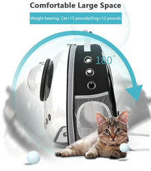 Cat Carrier Transparent