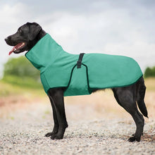 Windproof Winter Dog Coat - Warm Protective Jacket for Cold Weather Outdoor Dogs