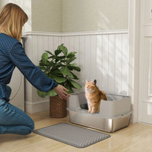 PINGGO High Sided Stainless Steel Litter Box, Metal Cat Litter Tray with Metal Scoop, Litter Mat, Never Absorbs Odors, Grey