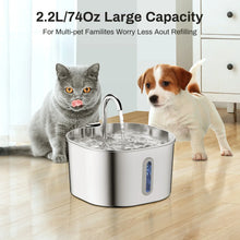 Cat Water Fountain 2.2L Stainless Steel — Artesian Flow, Ultra-Quiet Pump & Filter