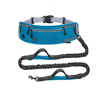 Hüftleine für Hunde mit Bauchtasche – Reflektierend & Freihändig