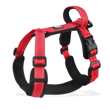Pet Harness With Leash Vest For Dogs