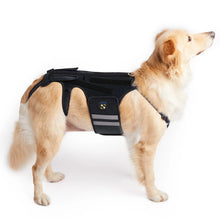 Dog Back Brace - Adjustable Spine Support Harness - Post Surgery Recovery Aid - Back Protection