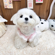Knitted Pet Dress - Autumn Winter Puff Skirt Sweater for Small Dogs Cats Puppies