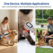 Pet Red Light Therapy Device – Cold Laser Therapy for Joint Care & Post-Procedure Recovery Support